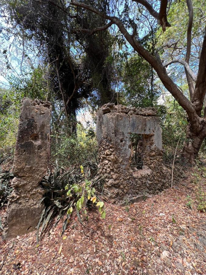 Chole Foxes Lodge Экстерьер фото